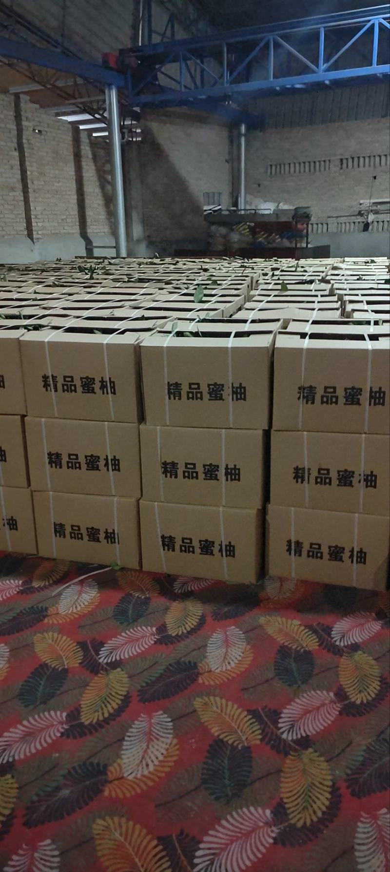葡萄柚爆汁葡萄柚黄金葡萄柚一手货源