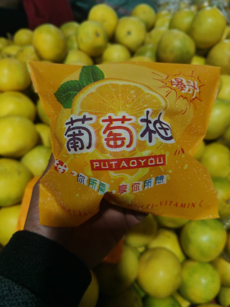 葡萄柚爆汁葡萄柚黄金葡萄柚一手货源