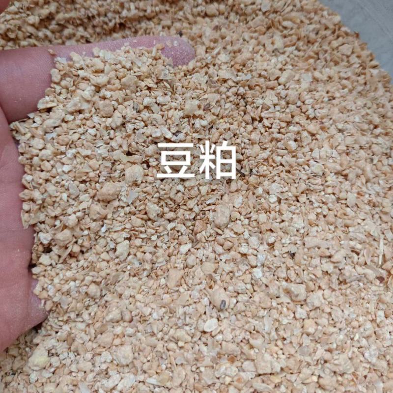 豆粕，43蛋白豆粕和低蛋白豆粕，欢迎各大经销商来咨询