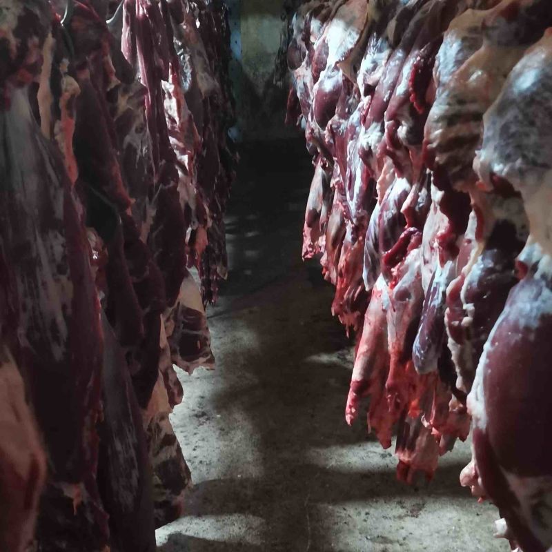 牛肉西门塔尔品种牛