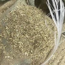 河南优质花生秧细粉常年供货品质保证价格优惠全国发货