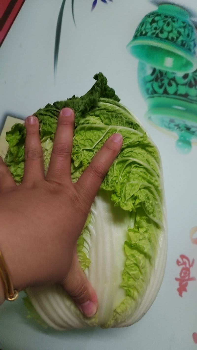 精品矮颗黄心菜