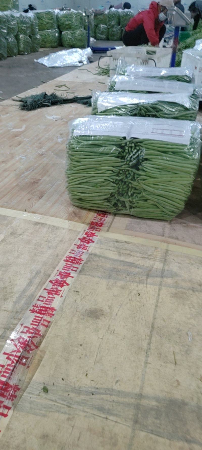 小金豆无筋豆偏豆白豆大量上市全国各地发货