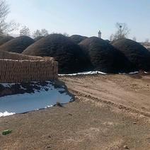 甘肃古浪土门有机羊粪加工基地，全国联盟优质采购商，。