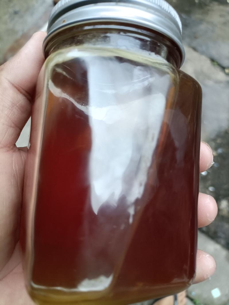 广西阳朔县大量供应纯野生蜂蜜