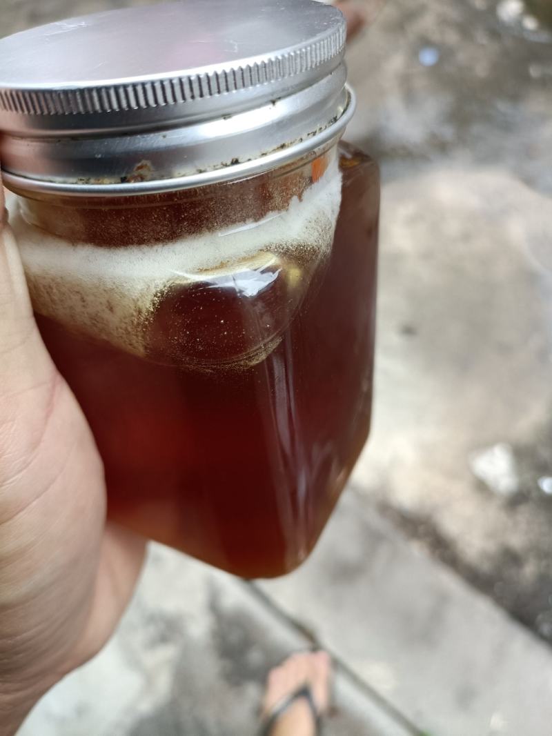 广西阳朔县大量供应纯野生蜂蜜