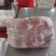 肥猪四号肉新货品质很好