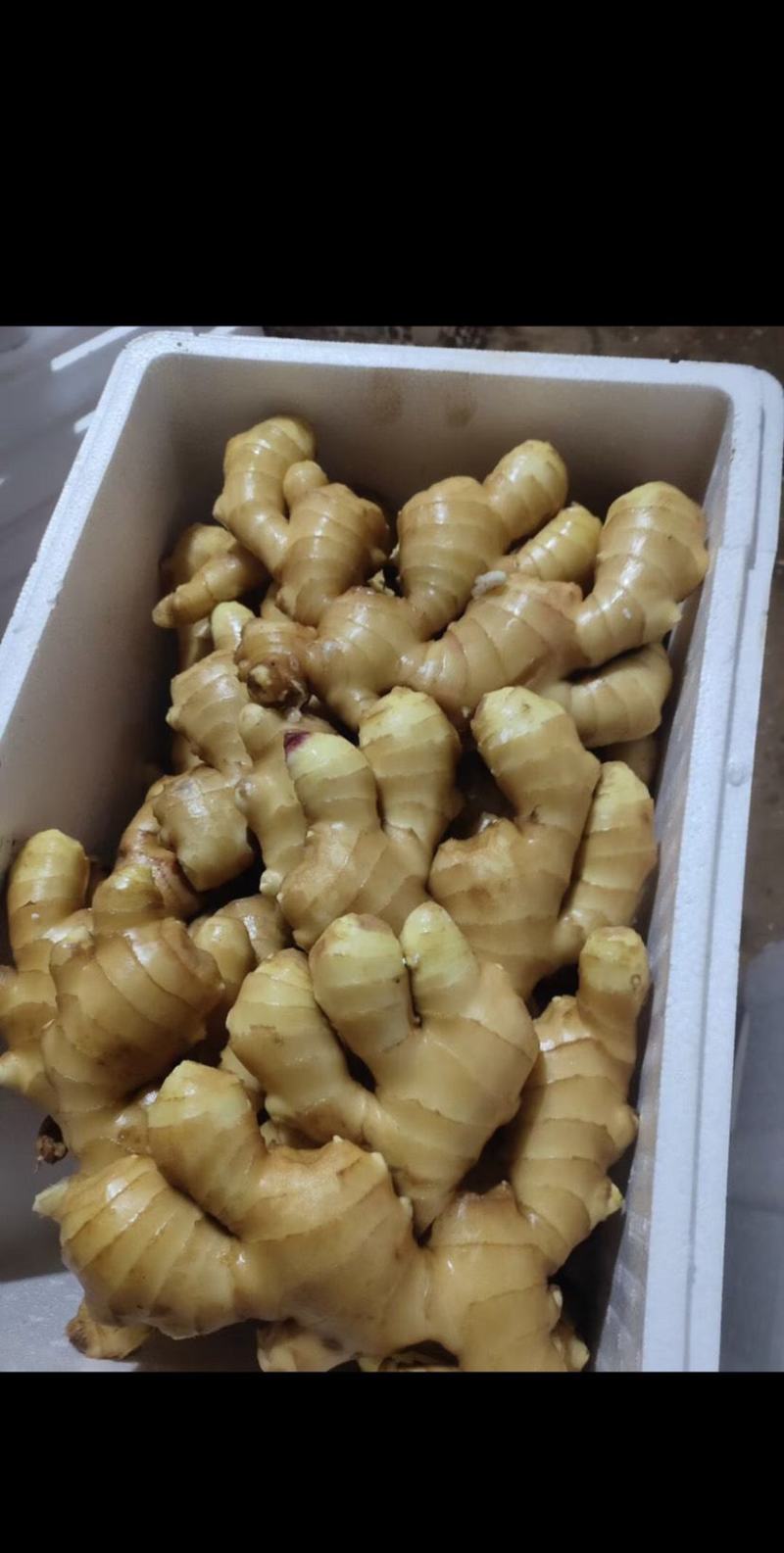 山东生姜产地大黄姜产地直销，货源充足，全国发货