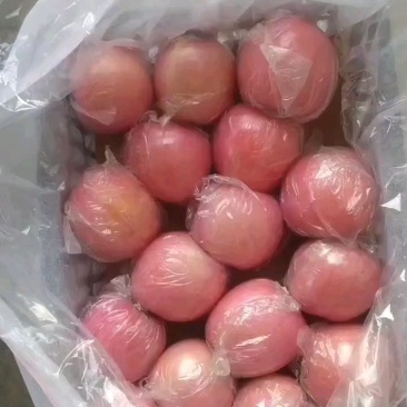 靓果纸夹膜红富士