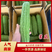 【热卖】广东凉瓜，价格优惠，质量保证，欢迎订购
