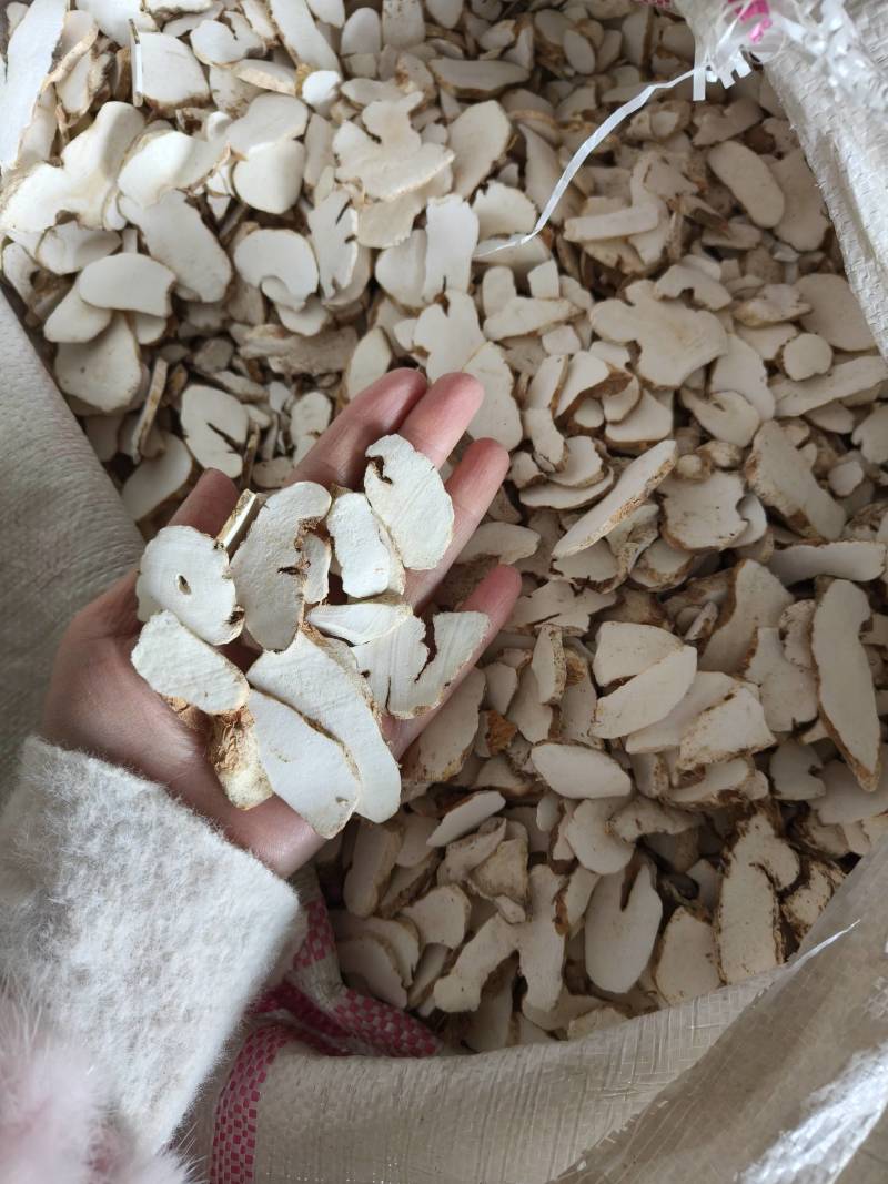 山药大疙瘩头片产地河南祥泰药材栈中药材批发零售实物
