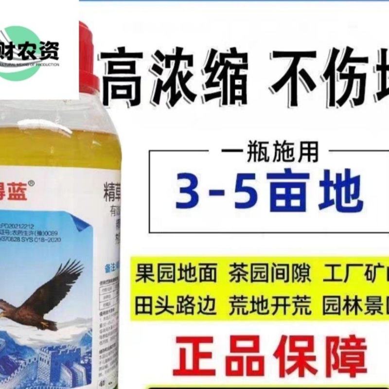鹰得蓝精草胺磷铵盐除草剂水剂果园茶园荒地杂草牛筋草小飞蓬