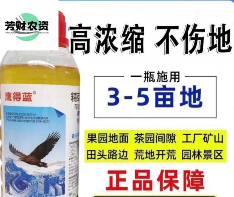鹰得蓝精草胺磷铵盐除草剂水剂果园茶园荒地杂草牛筋草小飞蓬