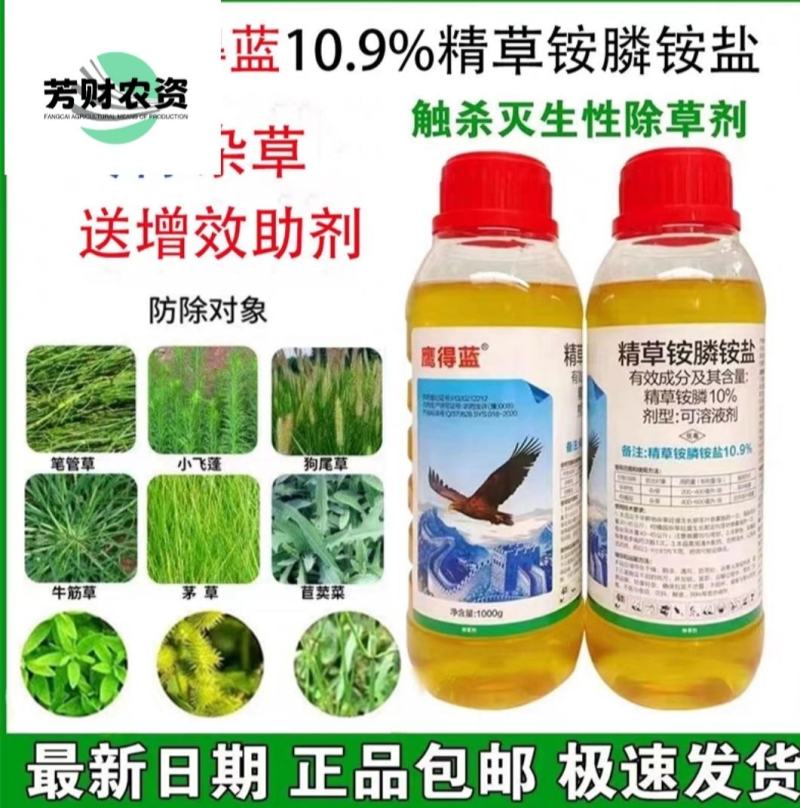 鹰得蓝精草胺磷铵盐除草剂水剂果园茶园荒地杂草牛筋草小飞蓬
