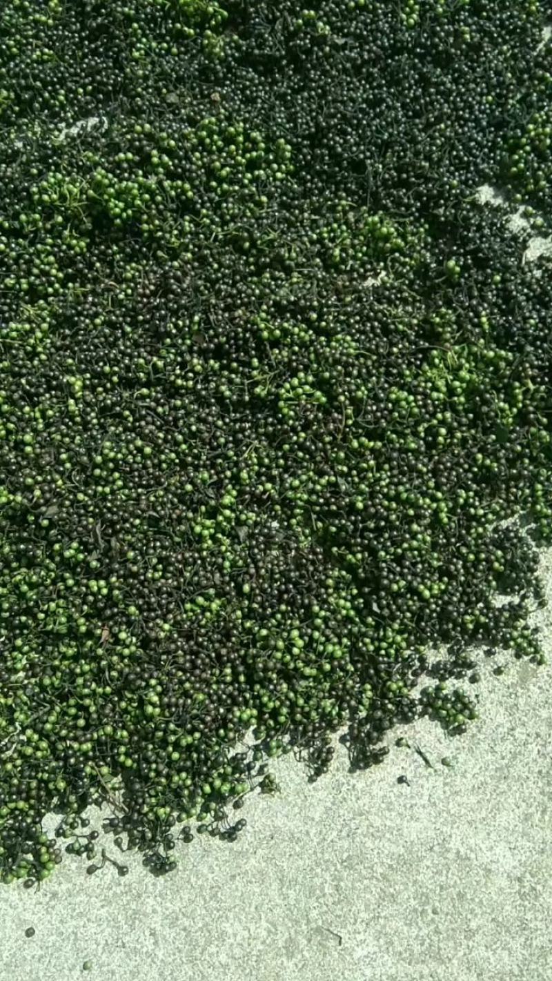 山苍子油山鸡椒油木姜子油山胡椒油纯野生食品级