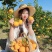 【秭归脐橙】普脐（果大皮薄货美味甜）平价批发诚信买卖