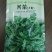 大叶荠菜种籽野生荠菜阳台地菜四季盆栽蔬菜大田播种