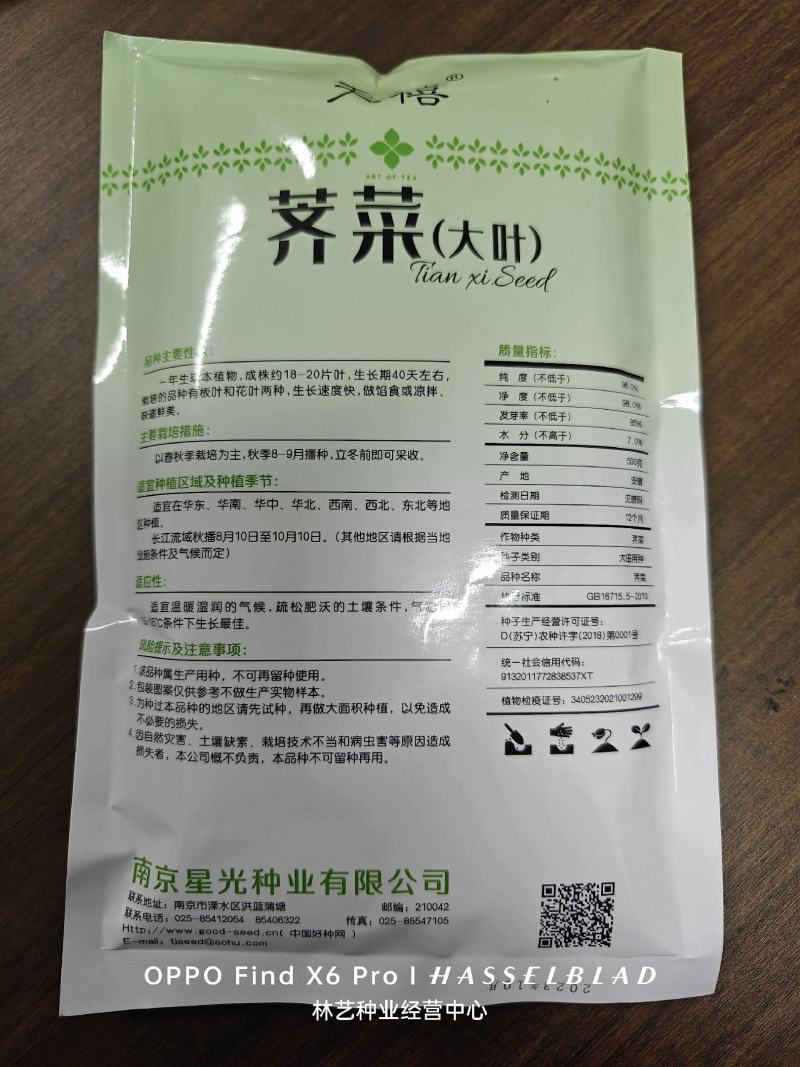 大叶荠菜种籽野生荠菜阳台地菜四季盆栽蔬菜大田播种