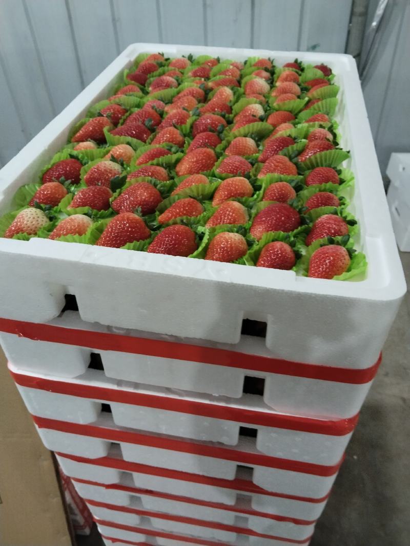 闻集奶油草莓