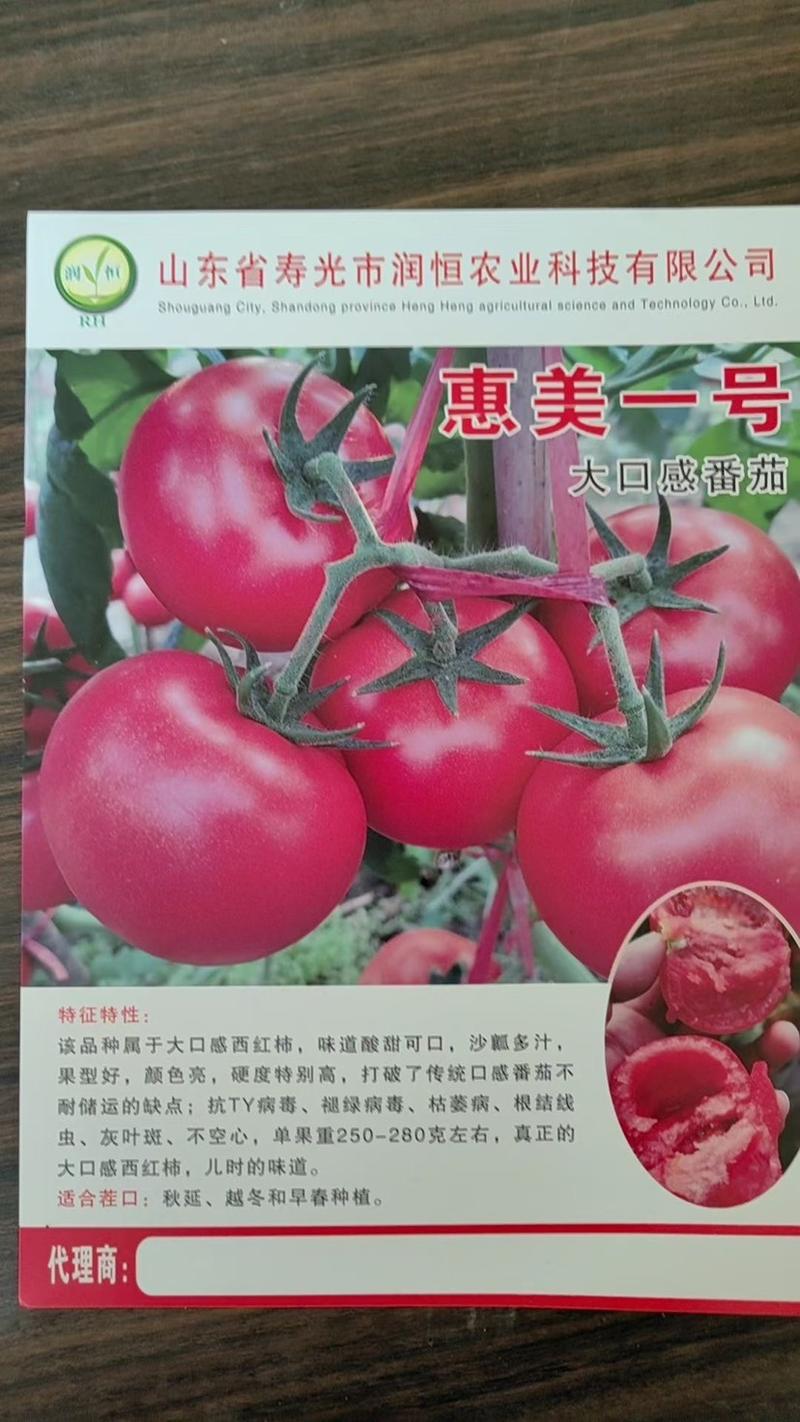 大粉番茄苗寿光瑞粉1号天钻大粉西红柿苗