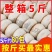【绿豆饼】5斤整箱批发夜宵早点休闲零食多省包邮免运费