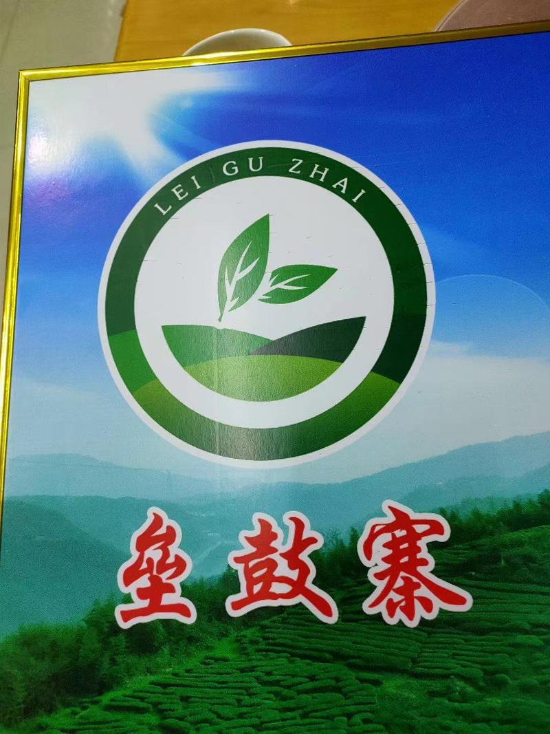 【黄芽茶】安徽茶农明前头春头采小米芽来电更优惠