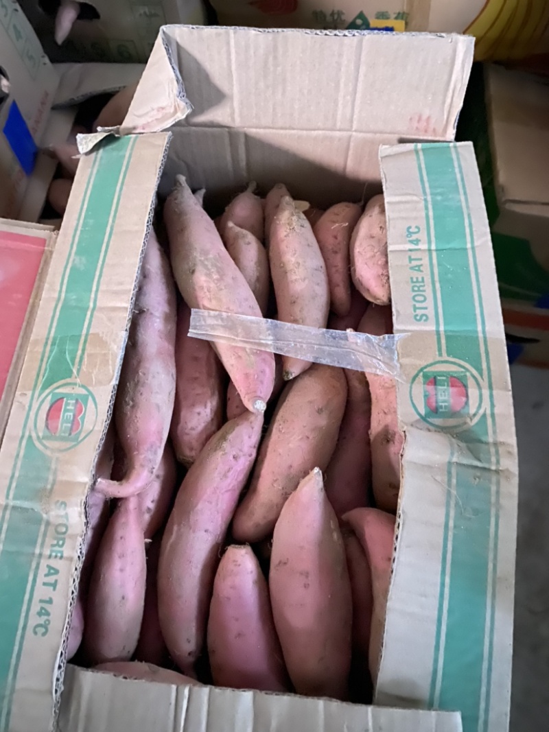 烟台精品烟薯25沙土红薯蜜油红薯地瓜