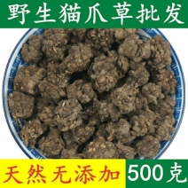 中药材无硫猫爪草小毛茛猫抓草正品500克包邮