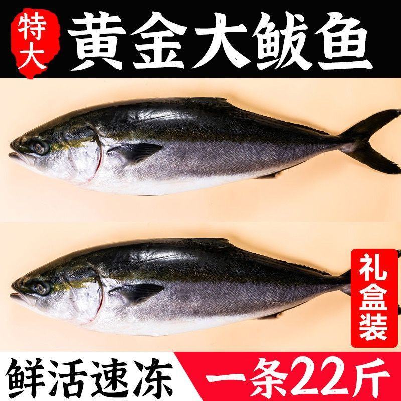 黄金鲅鱼海鱼对接各大电商社区团购平台一件代发