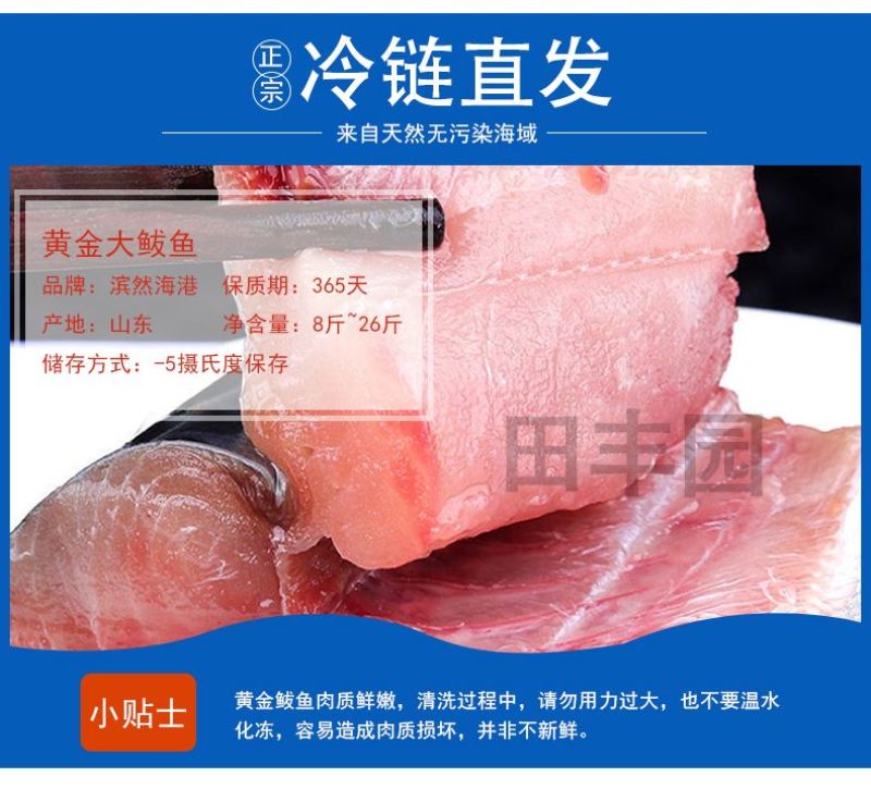 黄金鲅鱼海鱼对接各大电商社区团购平台一件代发