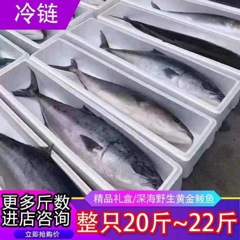 黄金鲅鱼海鱼对接各大电商社区团购平台一件代发