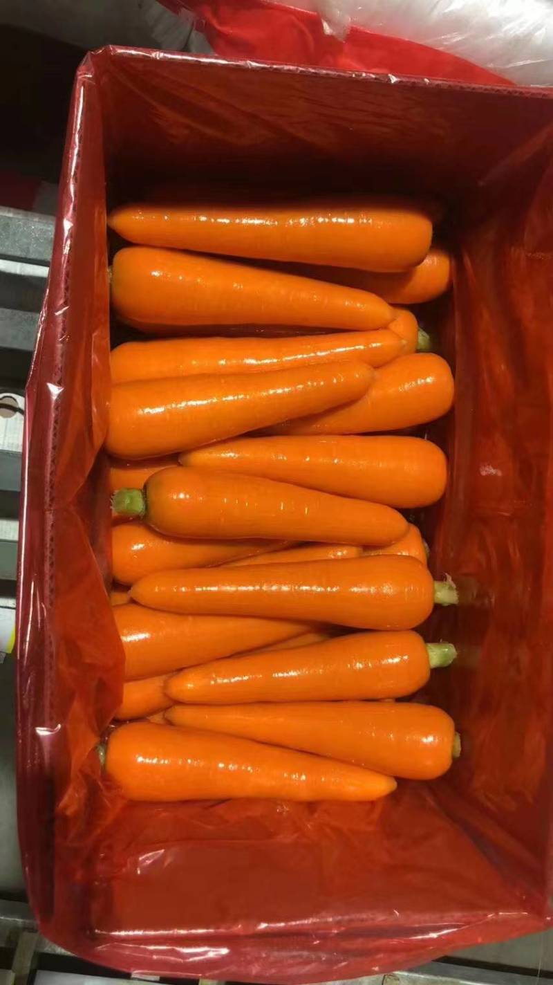 胡萝卜次品，B品，食堂酱菜厂，加工厂，养殖用胡萝卜大量