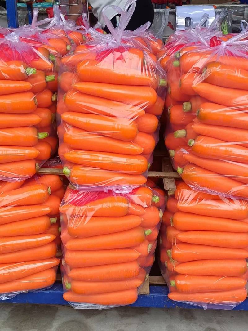 胡萝卜次品，B品，食堂酱菜厂，加工厂，养殖用胡萝卜大量