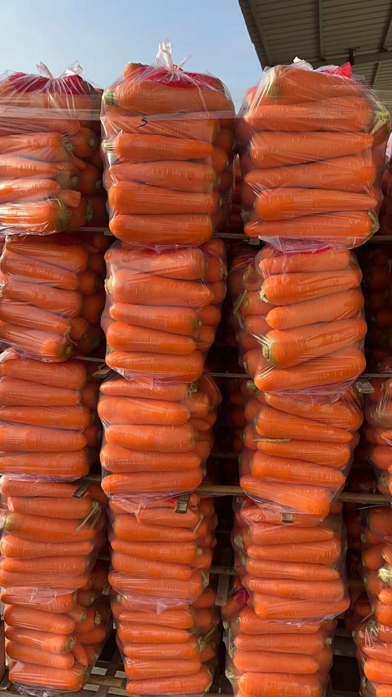 水洗胡萝卜次品B品，酱菜厂，加工厂养殖厂切丝切片产地大量