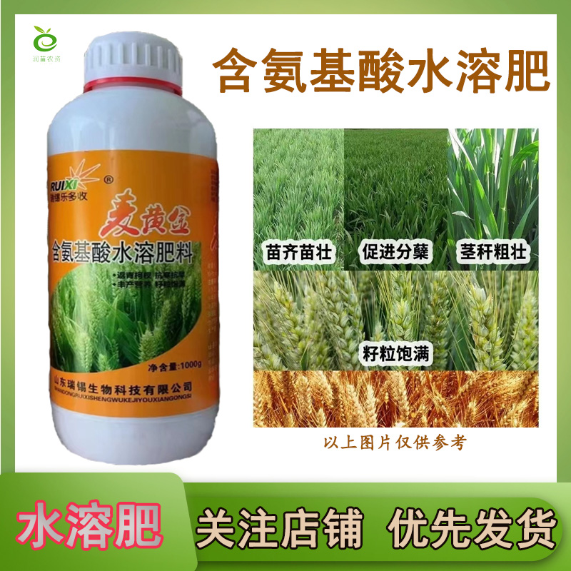 麦黄金小麦高产专用肥氨基酸水溶肥