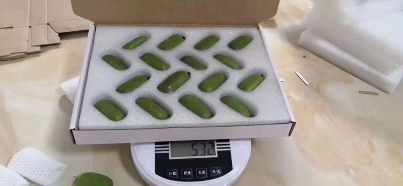 软枣猕猴桃苗树南北方种植正宗软枣子盆栽地栽阳台龙城二号