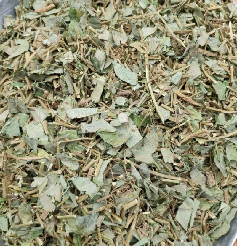 野生金钱草，大叶金钱草