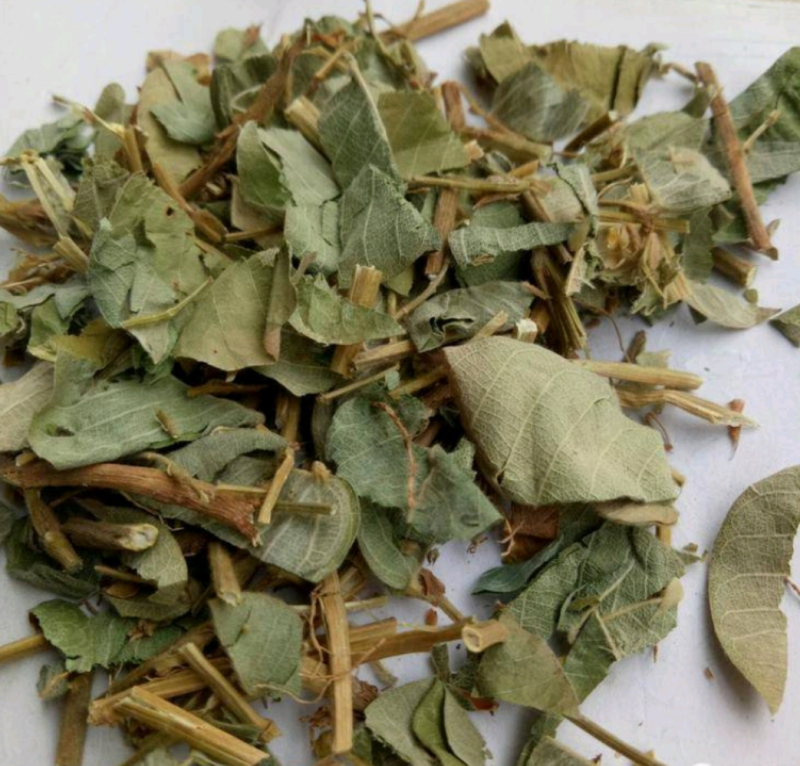 野生金钱草，大叶金钱草