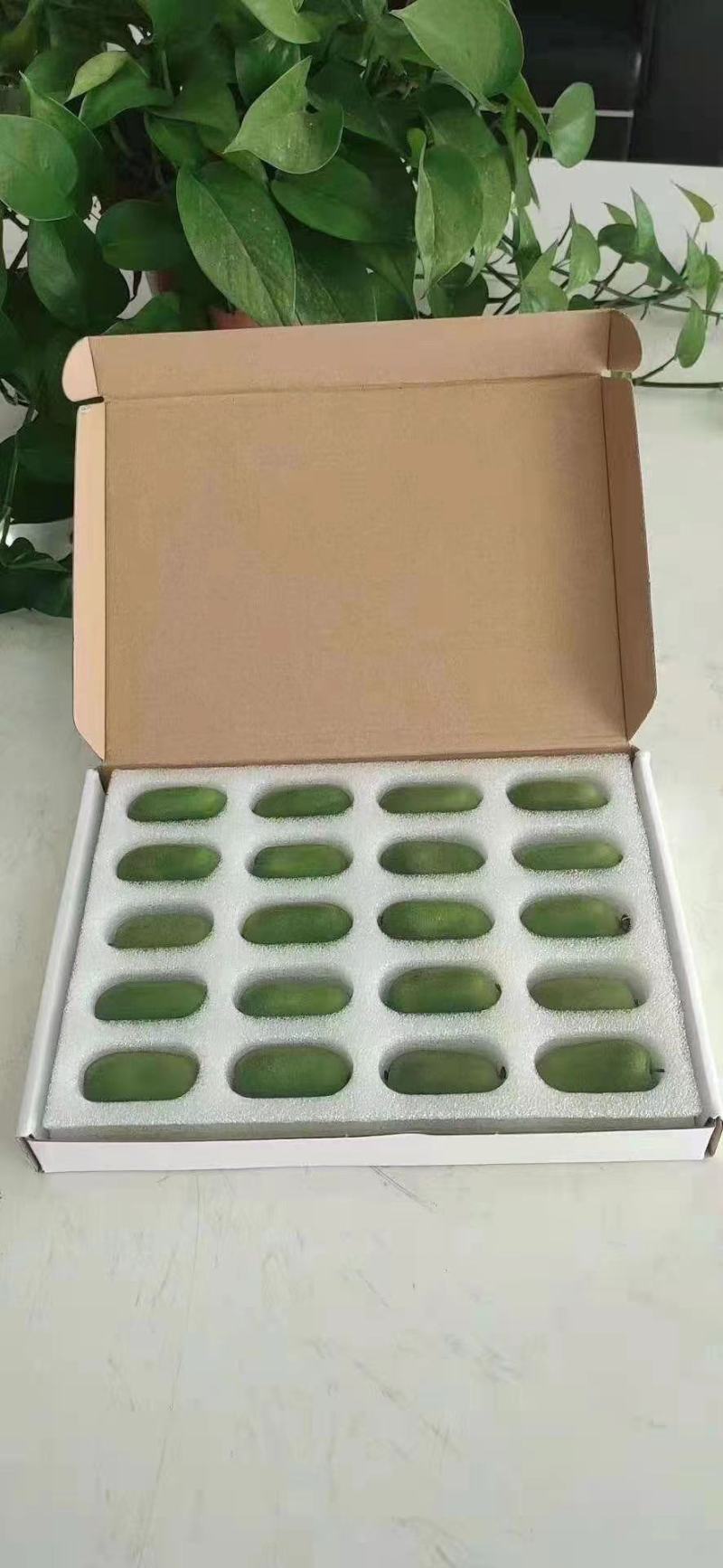 软枣猕猴桃苗树南北方种植正宗软枣子我送苗你种包回收