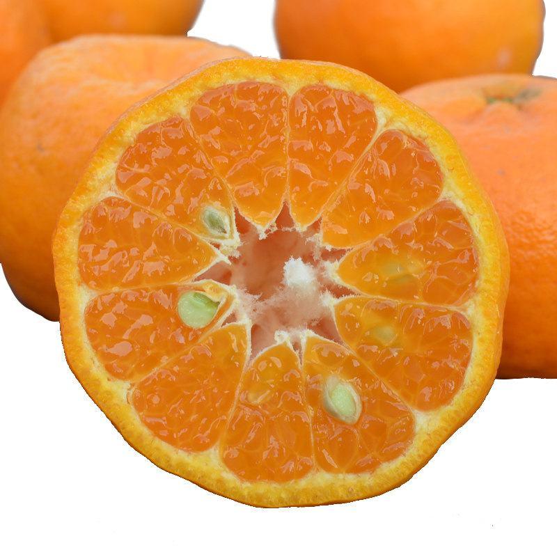 椪坩，橙子