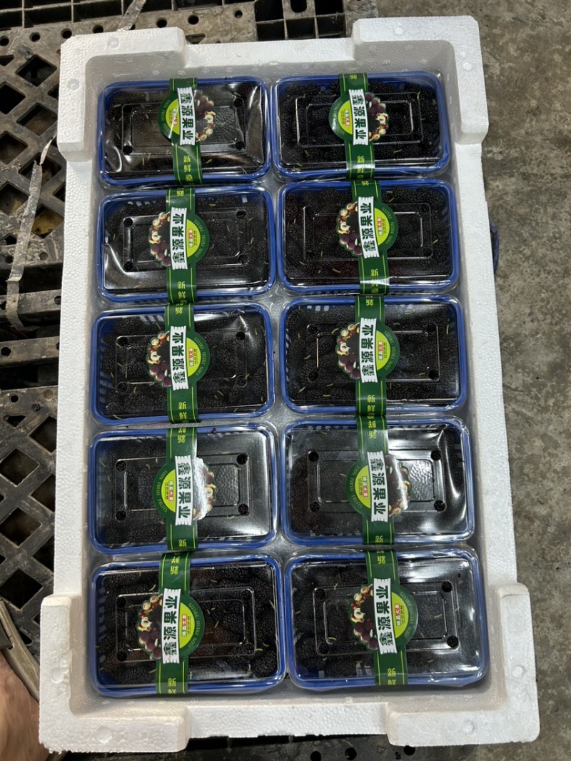 广东精品桑葚，果农精心打包装车发货，保质保量，稳定供货