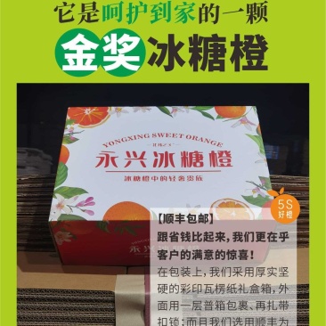 永兴冰糖橙