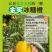 永兴冰糖橙
