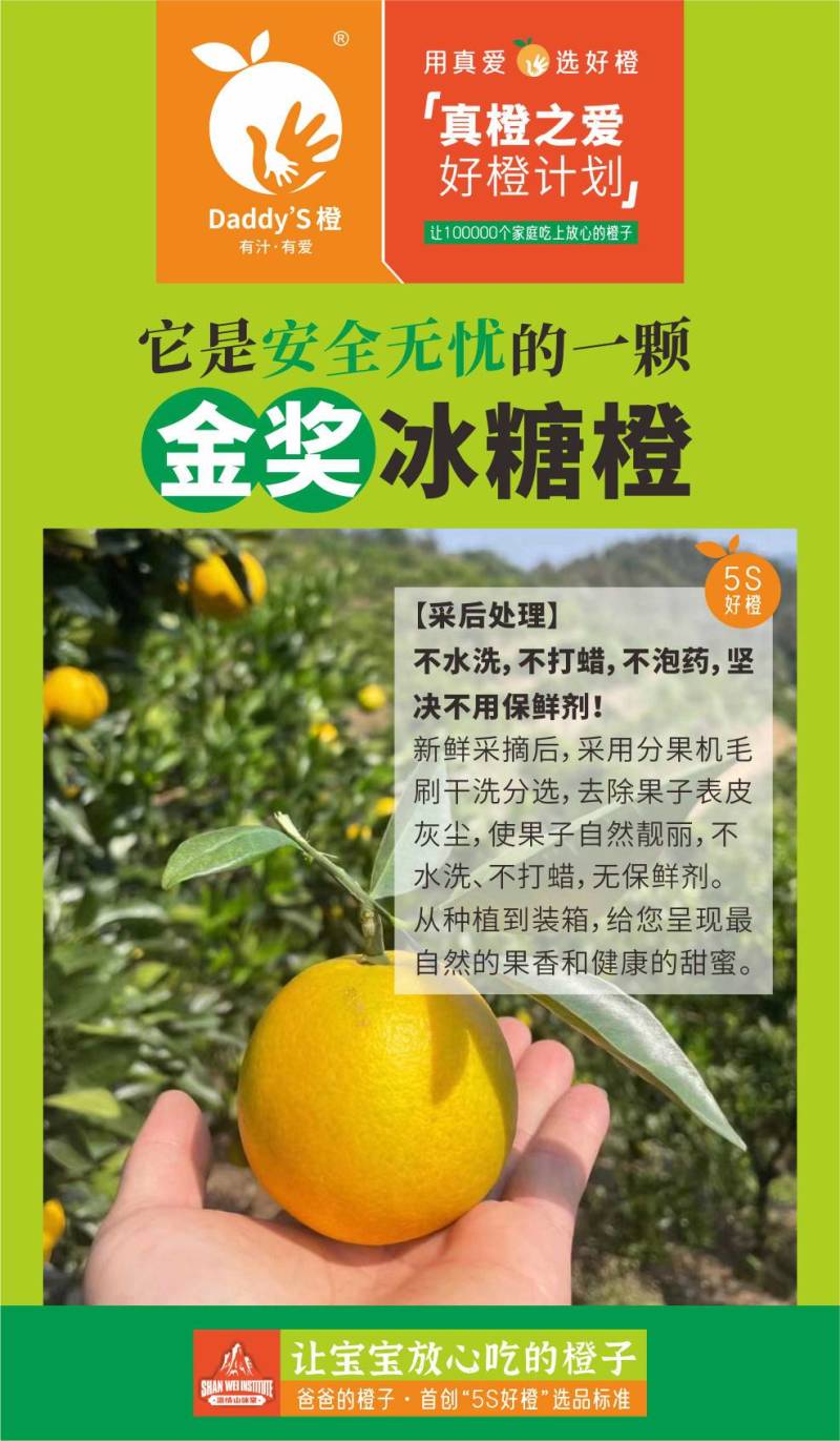 永兴冰糖橙