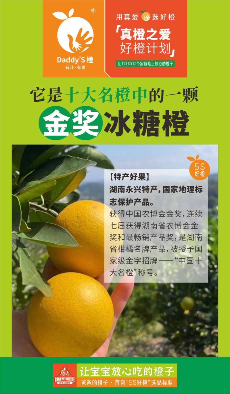 永兴冰糖橙