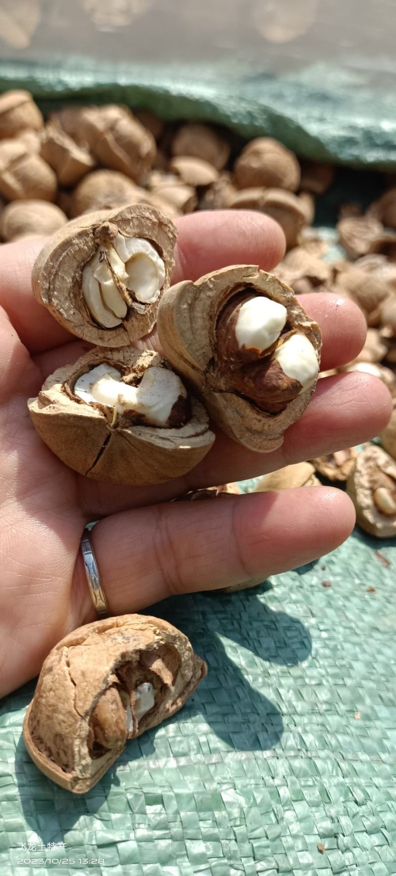 簿壳粒粒有肉的风流果产地直销，量大价优