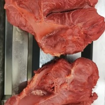 五香腱子肉8-9成熟产家直发大量有货量大从优