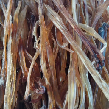 干牛筋