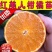 红美人，红美人柑橘苗，早熟，全国包邮，支持线上保障交易。