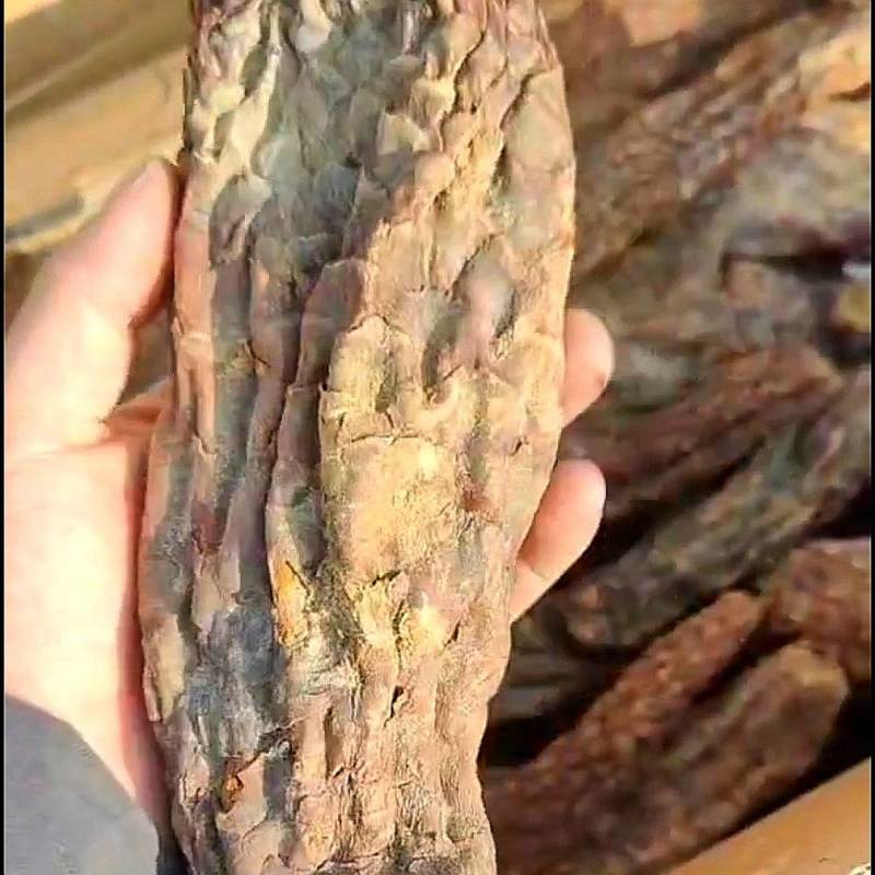 肉苁蓉新疆精品短条新货正宗滋补养生泡酒泡茶料包邮批发
